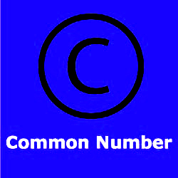 Teer Common Numbers